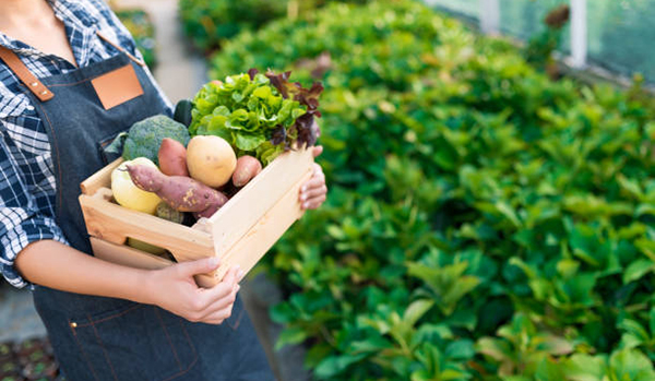 Főoldal 50 Intézményi regisztráció